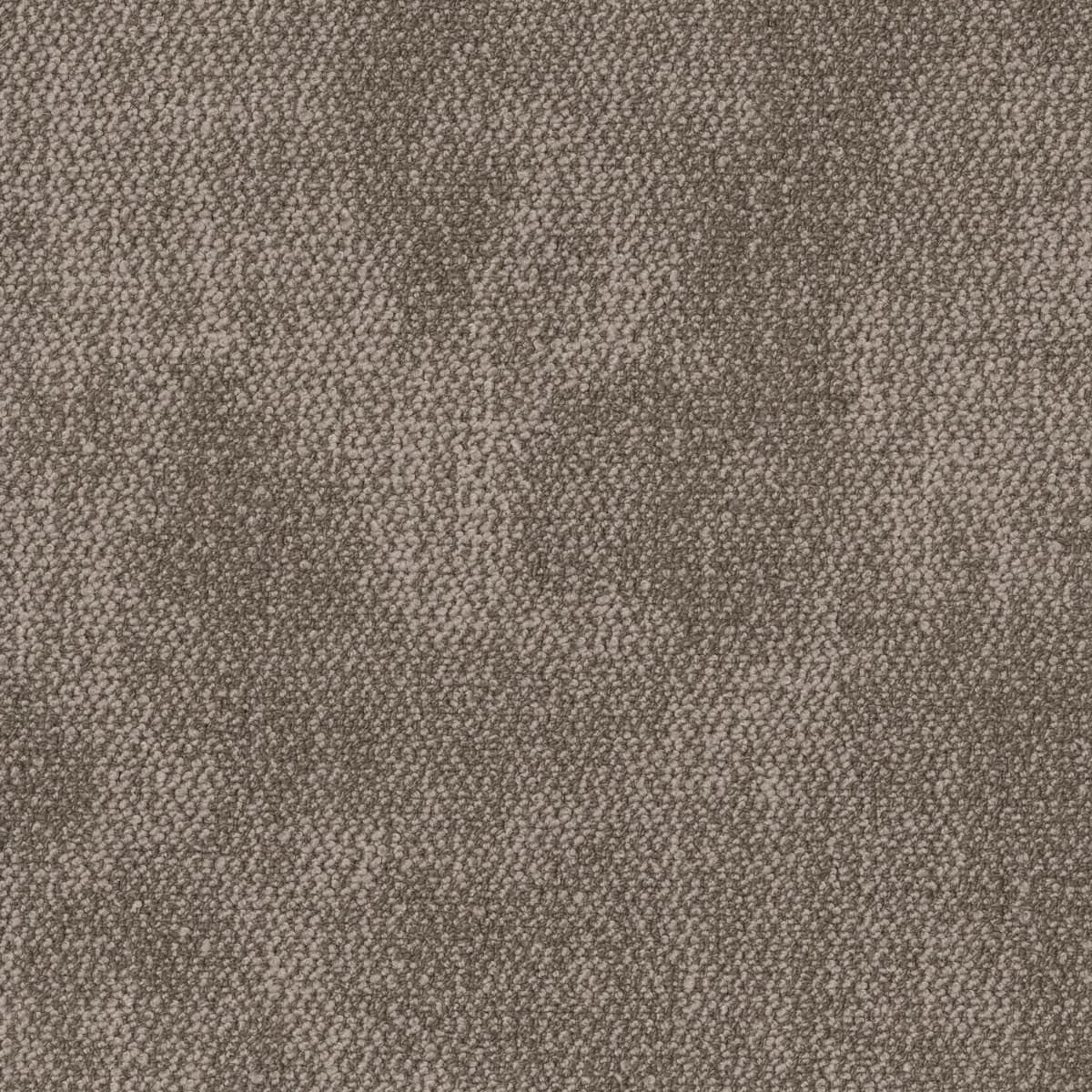 New Path 尋新之旅 - 42NFF-90111