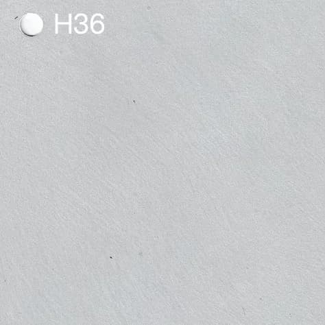 Homii - H36