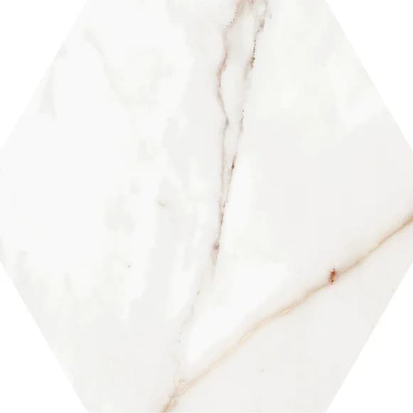 君主金 - EC22405