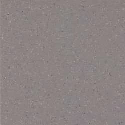 74030 鼠灰色地/壁磚 - 74030