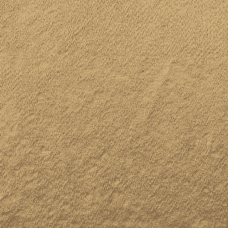 Giacomo - M487404