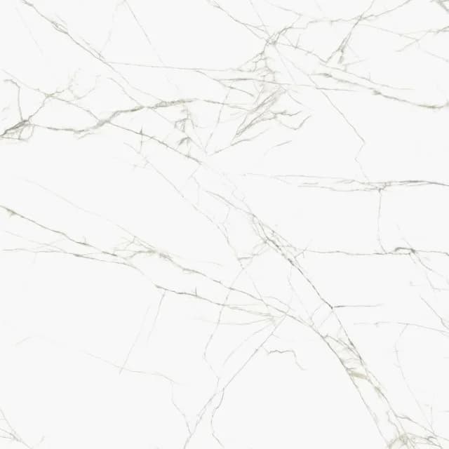 維納斯 - A24