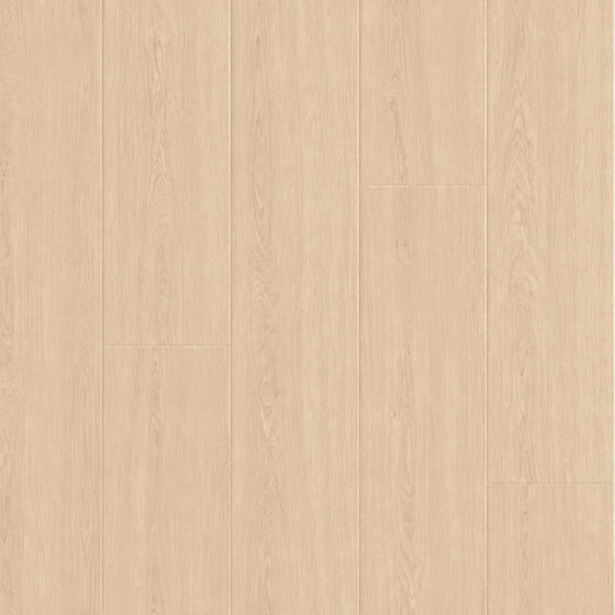 杏橡暖陽 - NRF1260