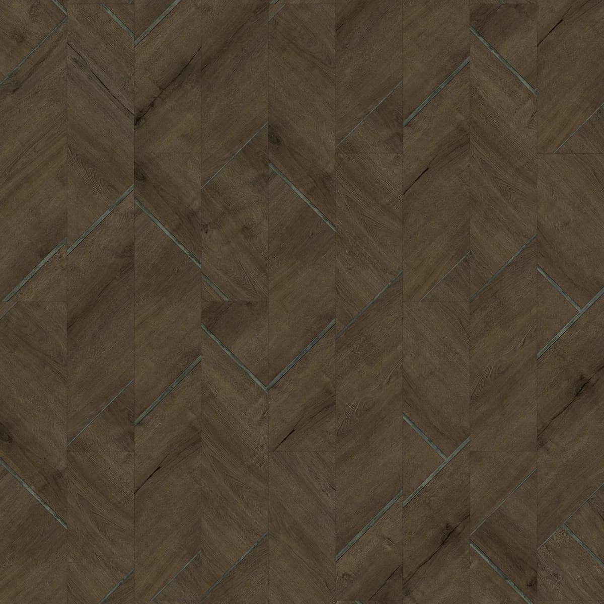 Modern Conifer - 7963