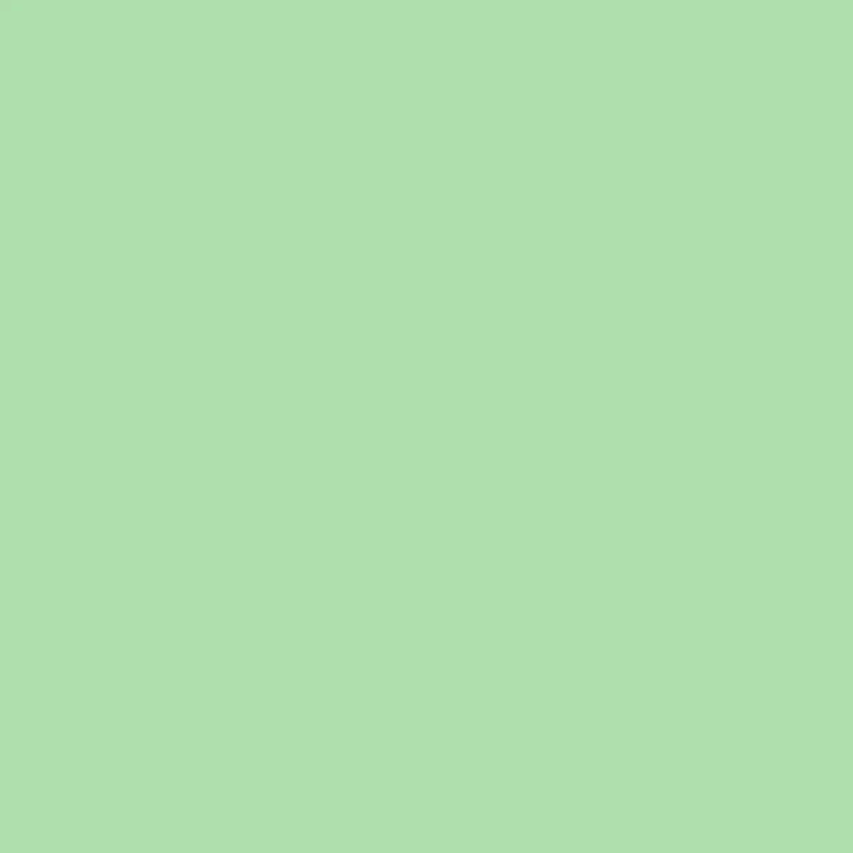 淺果綠 0351 - 0351