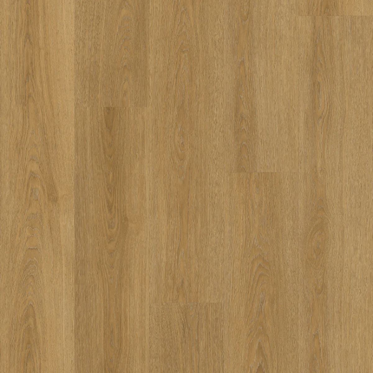Blonde Oak - 7986