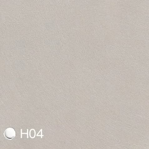 Homii