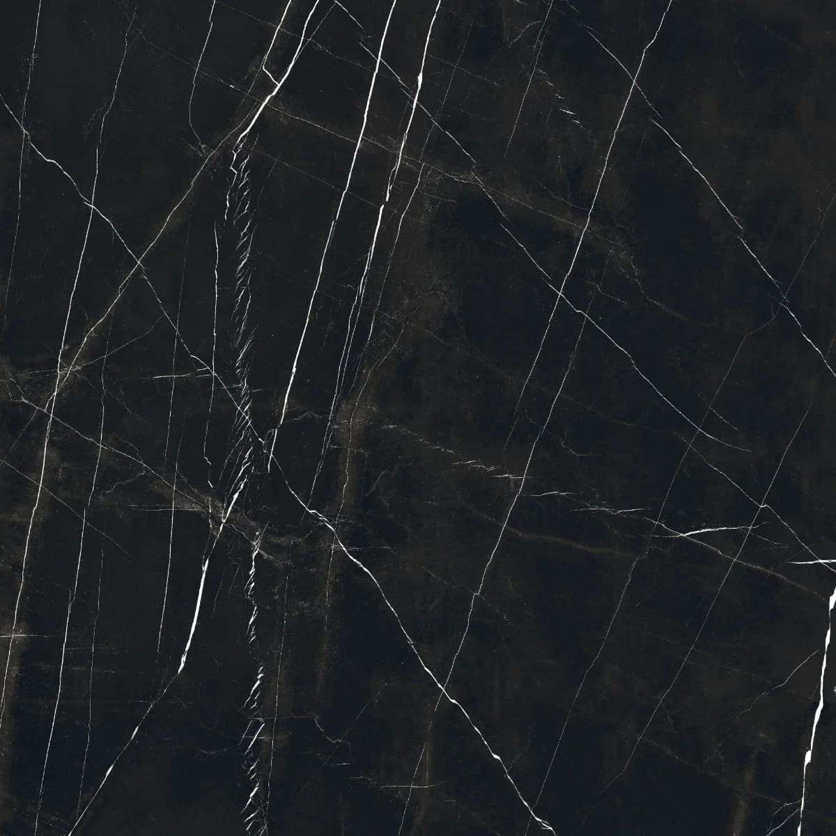 黑白根 - A102