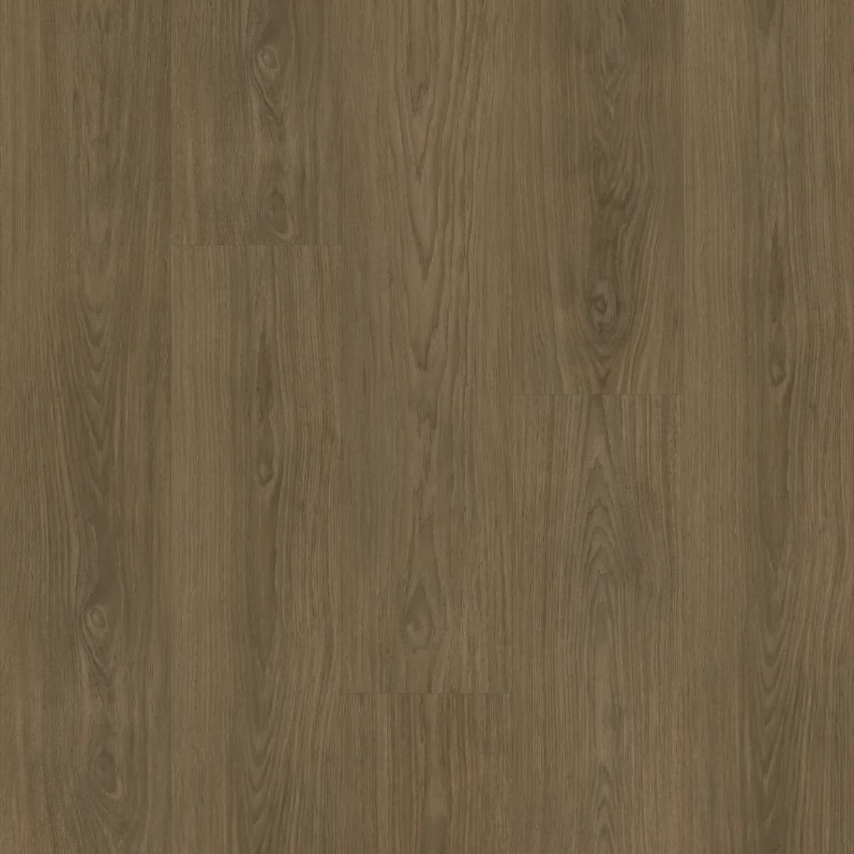 Timbered Hickory - 7983