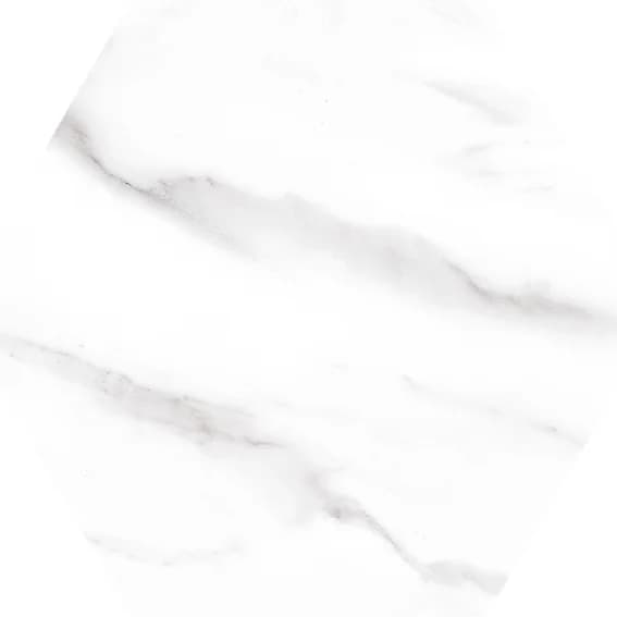 公爵白 - EC22404