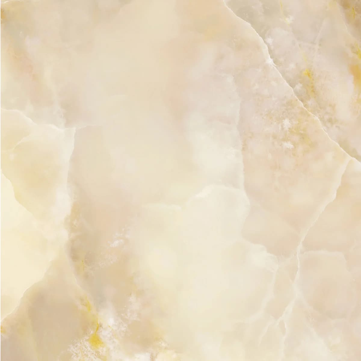 金燦 - A141