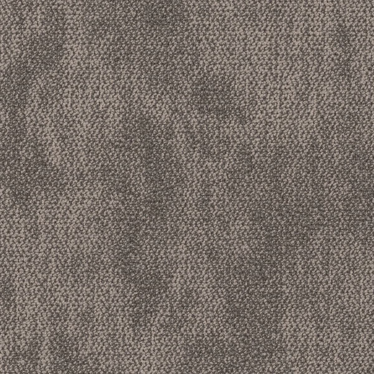 New Path 尋新之旅 - 42NFF-90780
