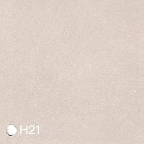 Homii - H21