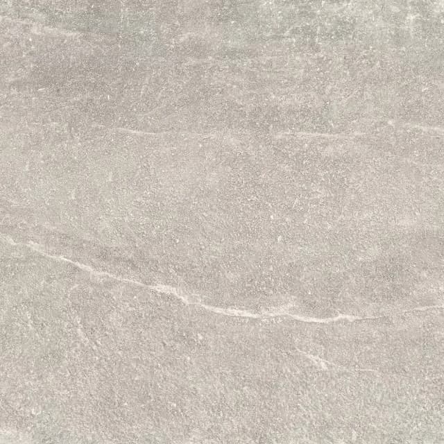 貝拉 - BBPIE2313