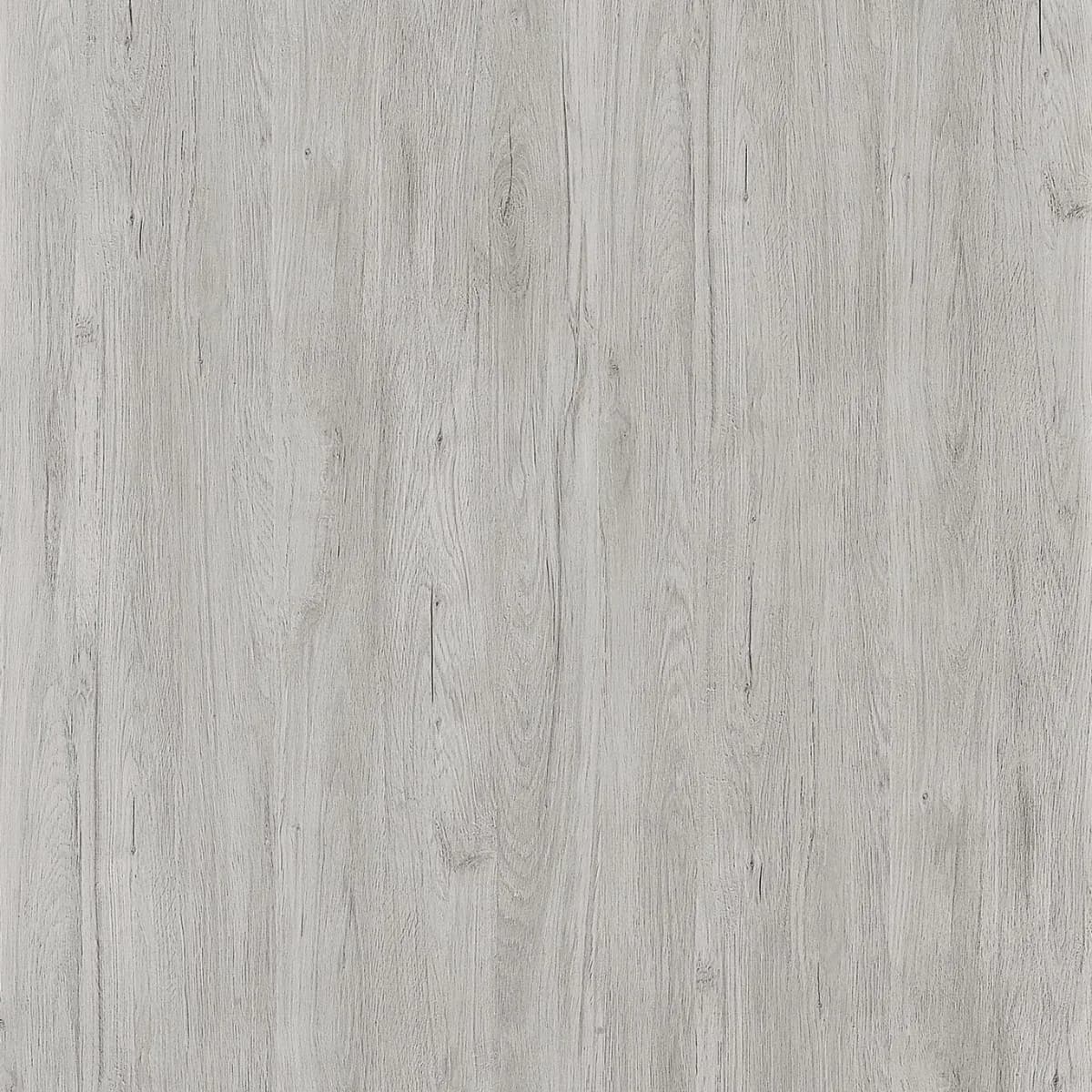 帕米斯灰櫟 - H1208