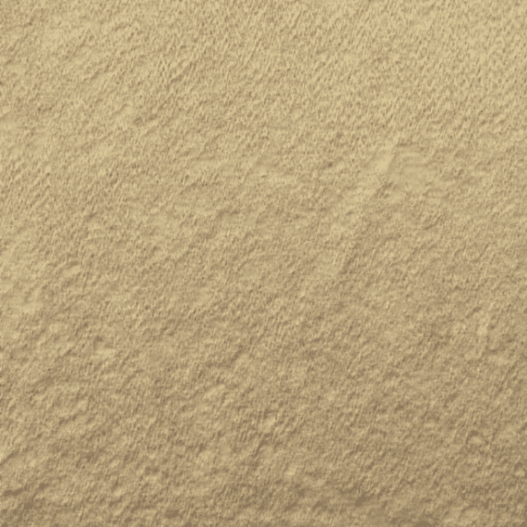 Giacomo - M487303