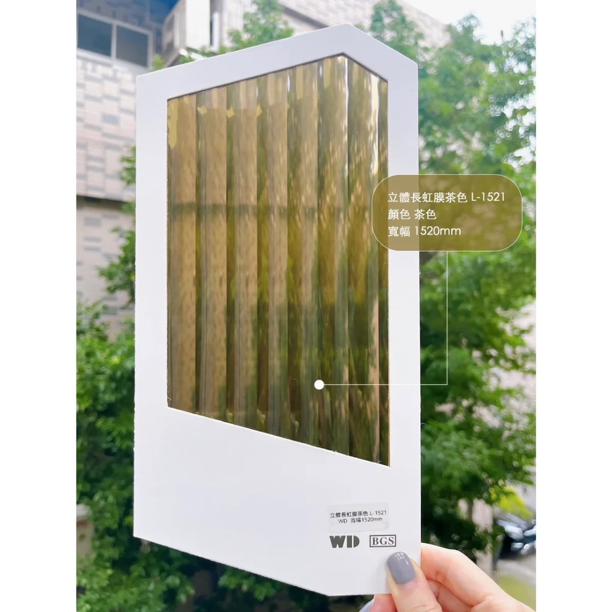 立體長虹膜-茶色 - L-1521