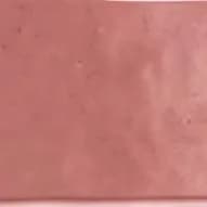 瑪卡蓮娜-粉 - EQA-6524