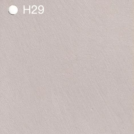 Homii - H29
