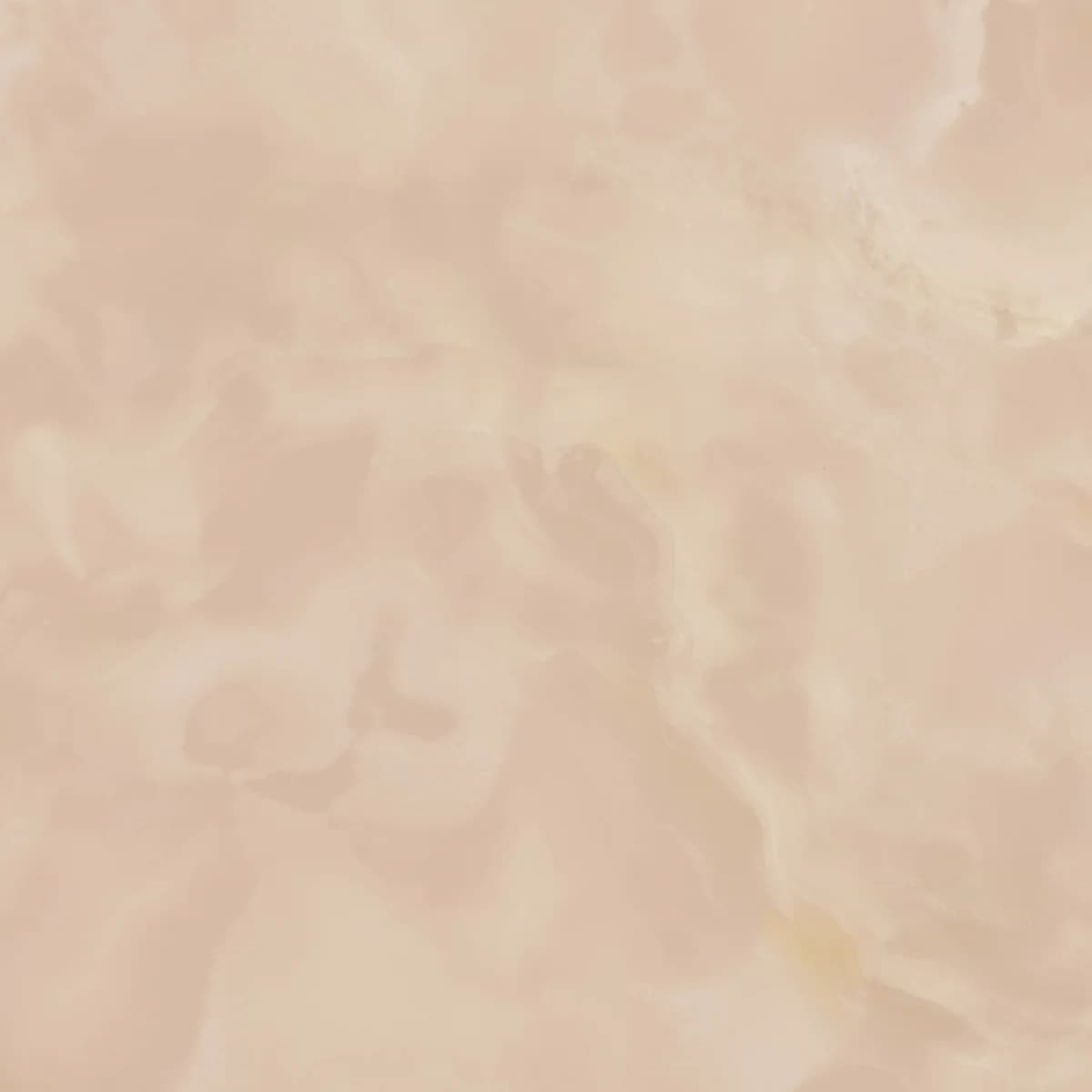 紅玉玫瑰 - A21