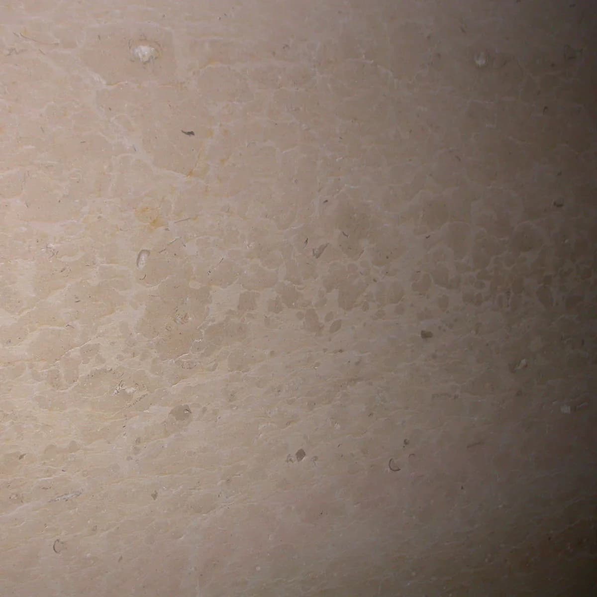 拉斐爾 - EIC-6