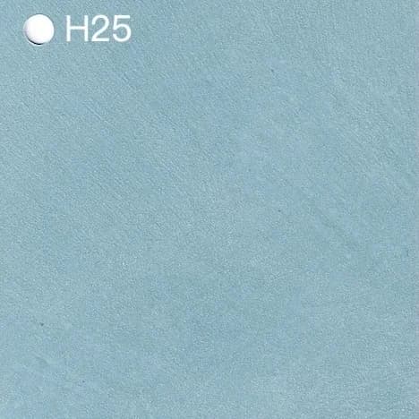 Homii - H25