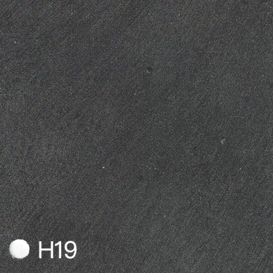 Homii - H19