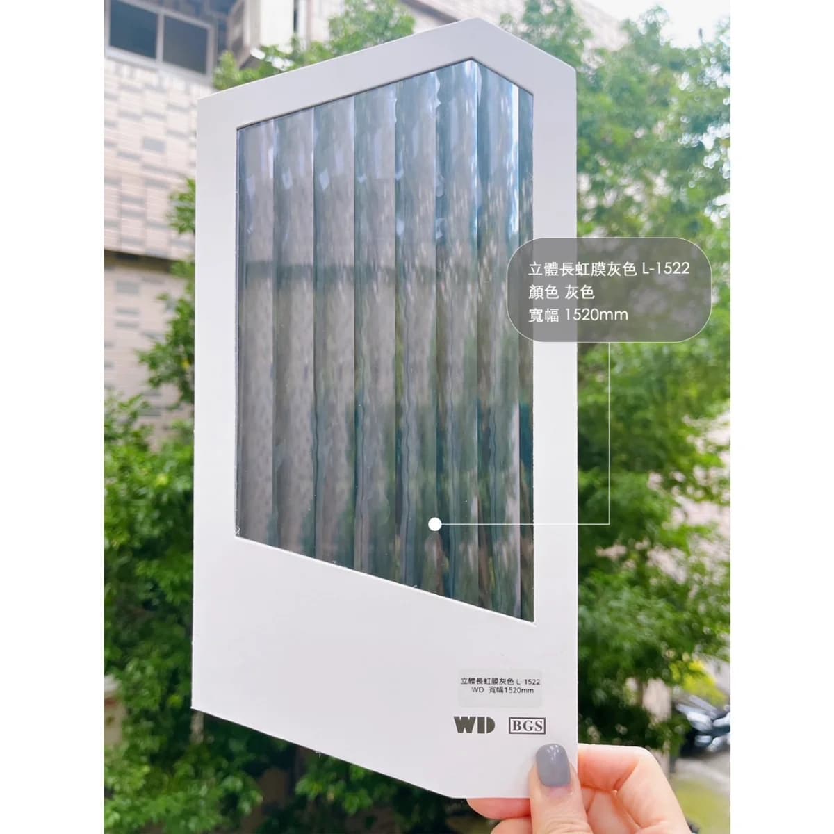 立體長虹膜-灰色 - L-1522