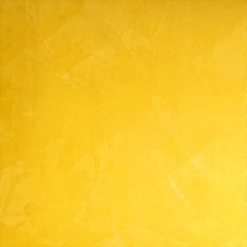 Stucco Veneziano 威尼斯灰尼